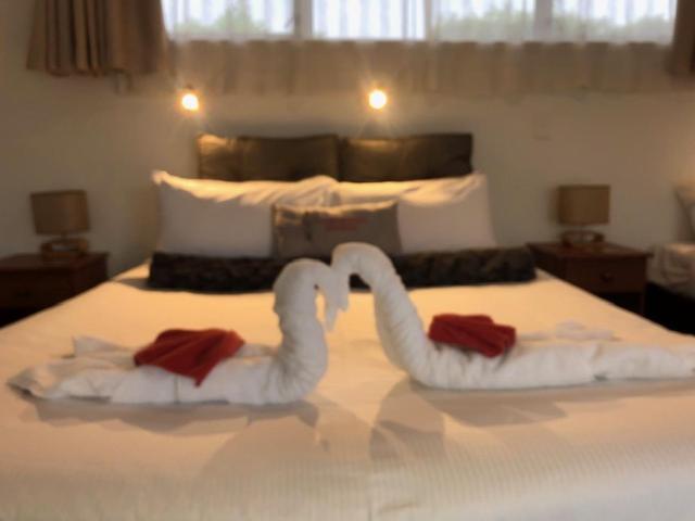 Coachman Motel Christchurch Extérieur photo